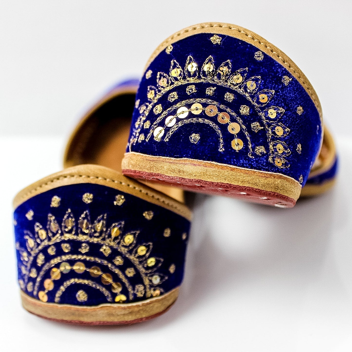 Jaipuri embroidery designer jutti by Tradsew